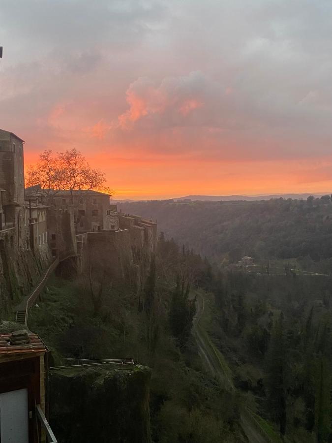 La Sorpresa Sul Bastione With Panoramic Balcony Apartment Pitigliano Bagian luar foto